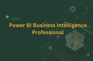 Power BI Business Intelligence Professional
